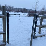 Fence Concern in a Park at 9820 15 St SE