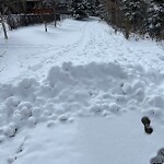 Snow On City-maintained Pathway or Sidewalk-WAM at 56 Cranwell Gr SE