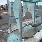 Bus Stop - Shelter Concern at 222 Carringvue Wy NW