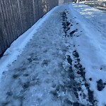 Snow On City-maintained Pathway or Sidewalk-WAM at 1391 64 Av NW