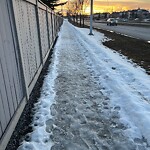 Snow On City-maintained Pathway or Sidewalk at 36 Weston Pl SW