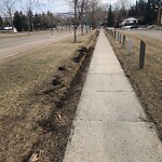 Snow On City-maintained Pathway or Sidewalk at 215 Silverthorn Wy NW