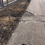 Pedestrian and Cycling Pathway - Repair - WAM at 9747 19 St NE