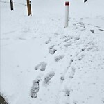 Snow On City-maintained Pathway or Sidewalk at 2905 Signal Hill Ht SW