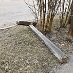 Fence or Structure Concern - City Property at 1128 Country Hills Ci NW