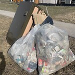 In a Park - Litter Pick Up or Overflowing Park Bins at 69 Redstone Dr NE