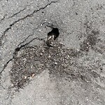 Pothole Repair at 2728 Dallaire Av SW
