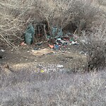In a Park - Litter Pick Up or Overflowing Park Bins at 1408 Russell Rd NE