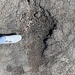 Pothole Repair at 2312 Uxbridge Dr NW
