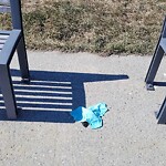 In a Park - Litter Pick Up or Overflowing Park Bins at 12770 84 St SE