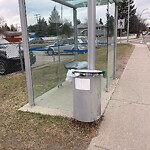 Bus Stop - Garbage Bin Concern at 416 78 Av NE