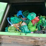 In a Park - Litter Pick Up or Overflowing Park Bins at 13416 24 St SW
