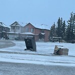 In a Park - Litter Pick Up or Overflowing Park Bins at 195 Saddlecrest Bv NE