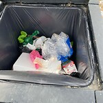 In a Park - Litter Pick Up or Overflowing Park Bins at 1 Cranbrook Ld SE