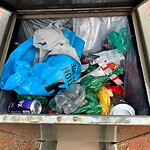 In a Park - Litter Pick Up or Overflowing Park Bins-WAM at 9500 14 St NW