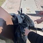 In a Park - Litter Pick Up or Overflowing Park Bins-WAM at 969 Memorial Dr NE