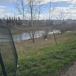 Fence Concern in a Park-WAM at 400 Evermeadow Rd SW