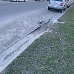 Pothole Repair at 59 Taravista Dr NE