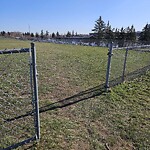 Fence or Structure Concern - City Property at 816 89 Av SW