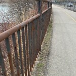 Fence or Structure Concern - City Property at 1924 Westmount Bv NW