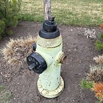 Fire Hydrant Concerns at 816 32 Av SW