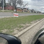 Debris on Street, Sidewalk, Boulevard at 6520 Falconridge Bv NE