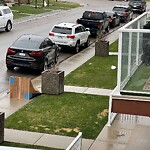 Debris on Street, Sidewalk, Boulevard at 27 Skyview Point Li NE