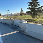 On-Street Bike Lane - Repair at 493 85 St SW