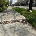 Sidewalk or Curb - Repair at 3 Elgin Estates Hl SE