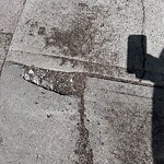 Sidewalk or Curb - Repair at 75 Saddlemont Cl NE