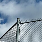 Fence or Structure Concern - City Property at 55 Beddington Gd NE