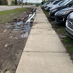 Sidewalk or Curb - Repair at 662 Crowfoot Cr NW