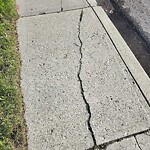 Sidewalk or Curb - Repair at 2204 65 St NE