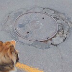 Pothole Repair at 586 Northmount Dr NW