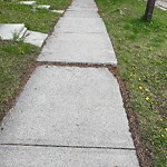 Sidewalk or Curb - Repair at 3427 Cedarille Dr SW