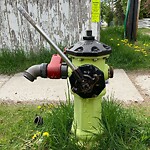 Fire Hydrant Concerns at 3211 52 Av NW