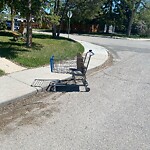 Debris on Street, Sidewalk, Boulevard at 206 24 Av NW