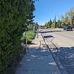 Fence or Structure Concern - City Property at 1711 26 St SW Shaganappi