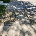 Sidewalk or Curb - Repair at 3537 7 Ave SW Spruce Cliff