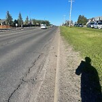 On-Street Bike Lane - Repair at 180 Falmere Wy NE