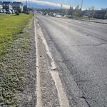 On-Street Bike Lane - Repair at 178 Falmere Wy NE