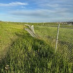 Fence or Structure Concern - City Property at 4576 Sarcee Tr SW