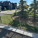 Fence or Structure Concern - City Property at 208 Nolancrest Ht NW