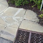 Sidewalk or Curb - Repair at 337 Royal Oak Me NW