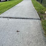 Sidewalk or Curb - Repair at 42 Elgin Park Cm SE
