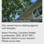 Tree Maintenance - City Owned at 3031 26 St SW