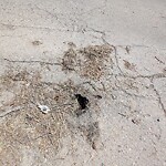 Pothole Repair at 16 St NW Northwest Calgary Calgary