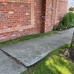 Sidewalk or Curb - Repair at 35 Citadel Peak Ci NW