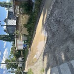 Backlane Maintenance at 2419 22 St NW Banff Trail