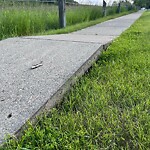 Sidewalk or Curb - Repair at 7 Bearberry Ba NW
